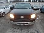 Lot #3024225881 2006 FORD F150