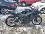 Lot #3025183198 2011 HONDA CBR250 R