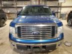 Lot #3037055762 2010 FORD F150 SUPER