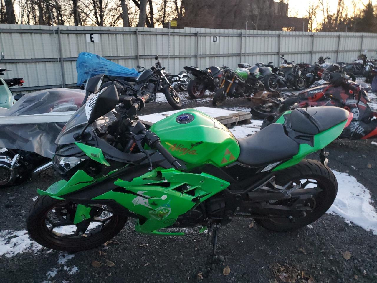 Lot #3048265843 2014 KAWASAKI EX300 A