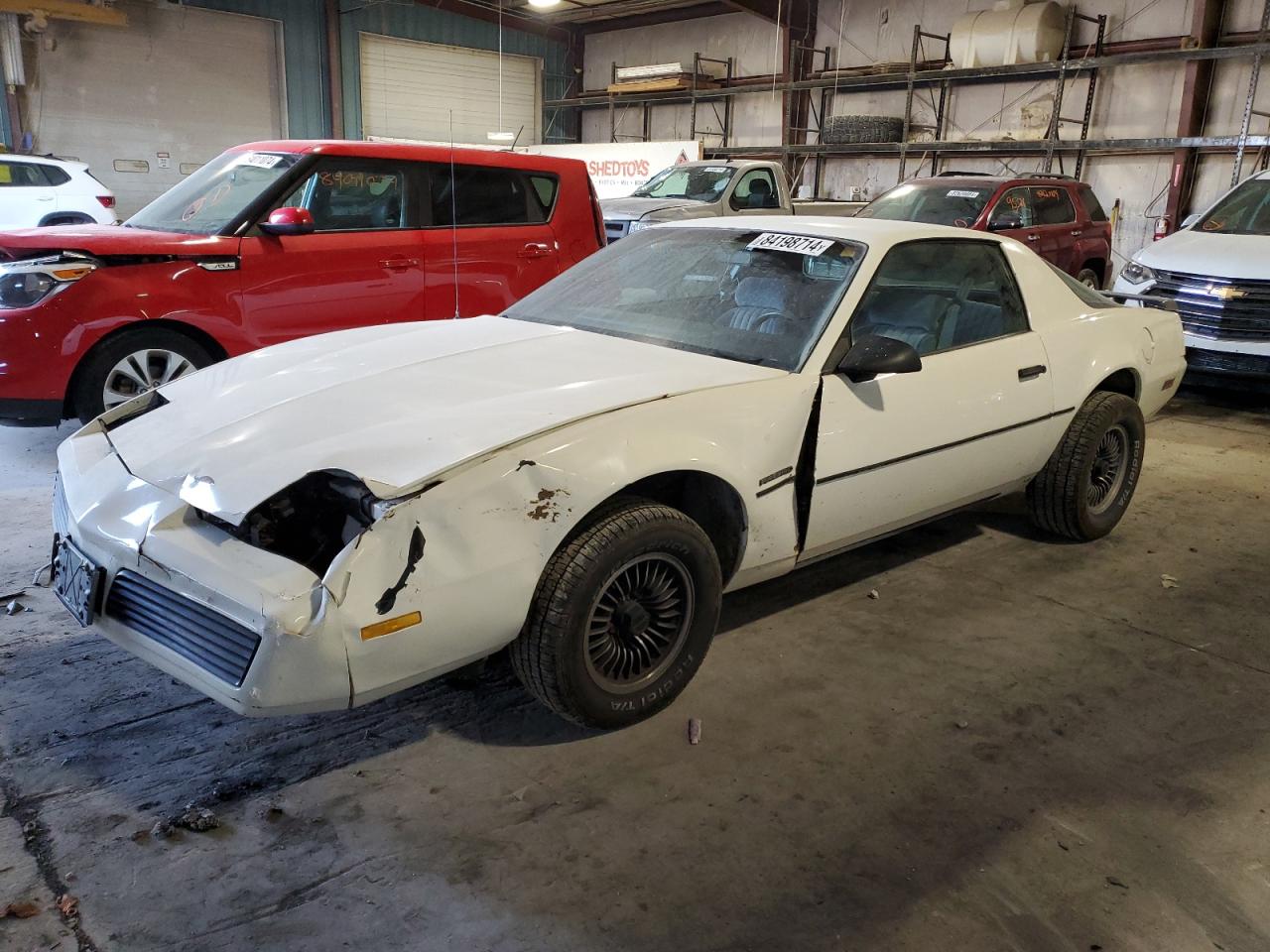 Lot #3033359806 1984 PONTIAC FIREBIRD