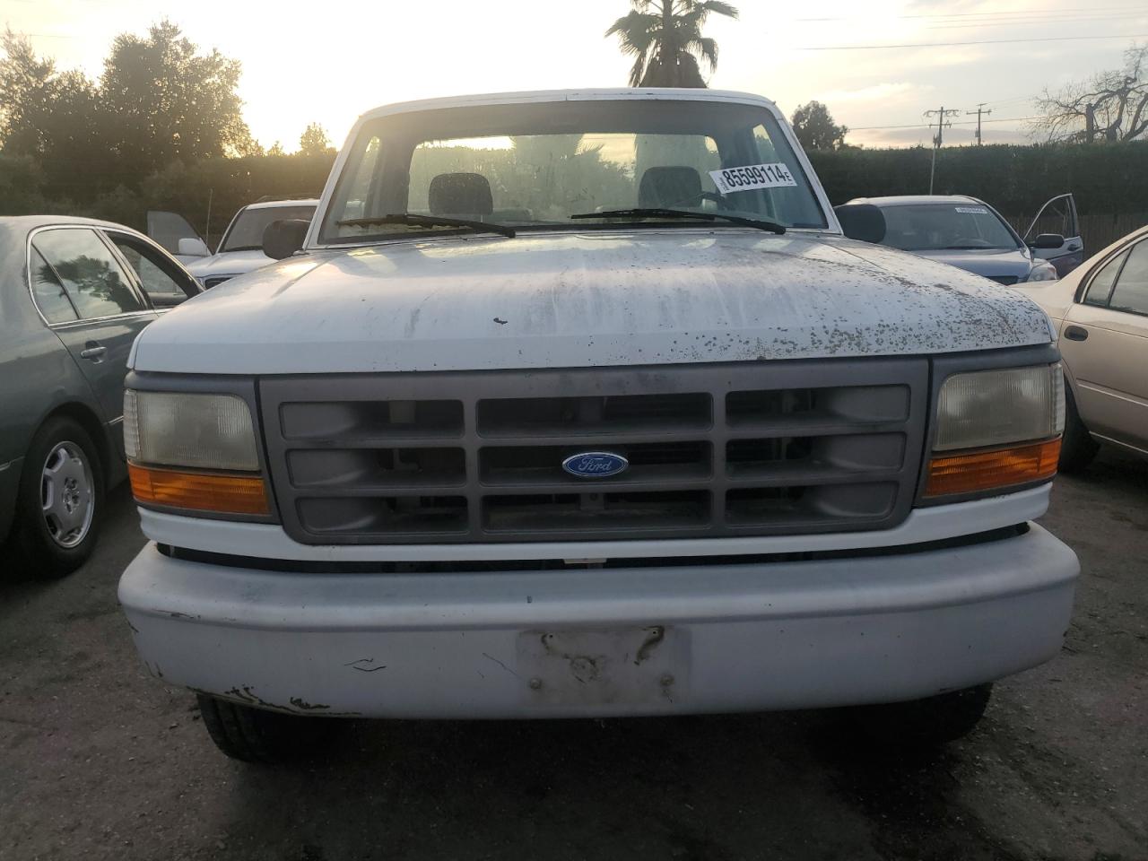 Lot #3034260099 1994 FORD F250