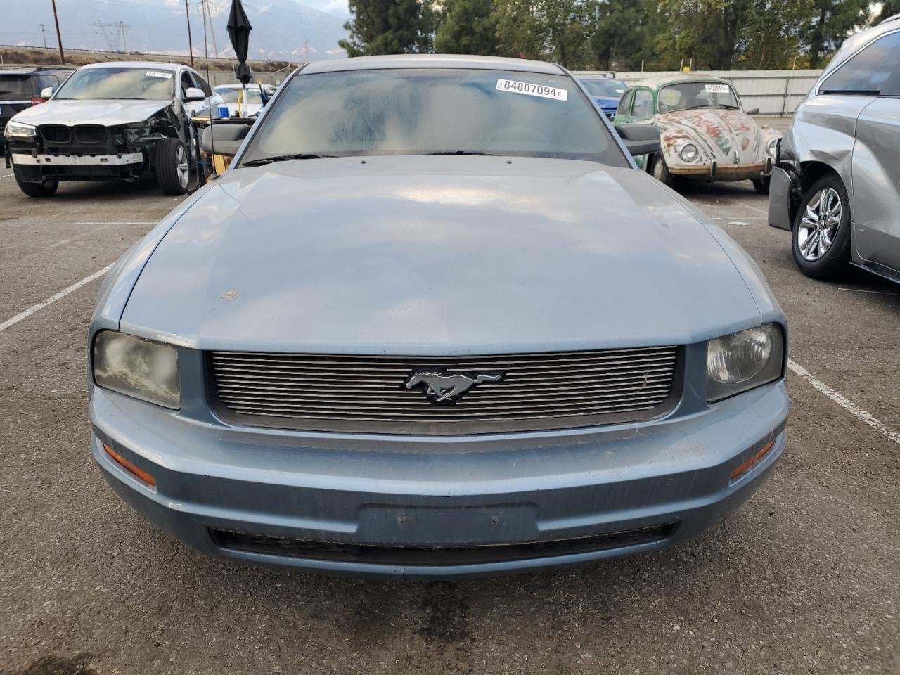 Lot #3033516091 2005 FORD MUSTANG