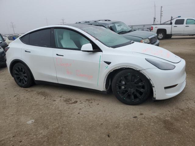 2023 TESLA MODEL Y - 7SAYGAEE8PF661282