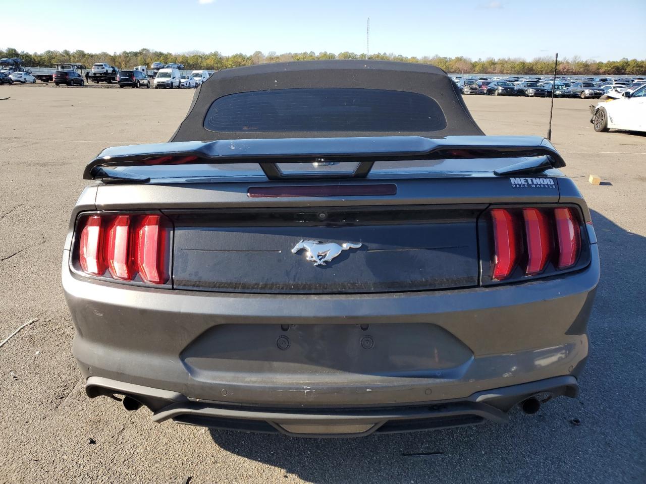 Lot #3034284125 2019 FORD MUSTANG