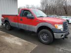 Lot #3024741229 2010 FORD F150