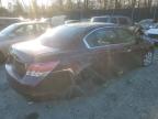 Lot #3024591607 2008 HONDA ACCORD EX