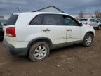 Lot #3024702651 2011 KIA SORENTO BA