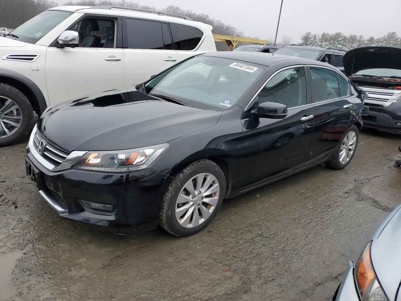 HONDA ACCORD EXL