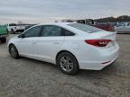 Lot #3030787464 2017 HYUNDAI SONATA SE