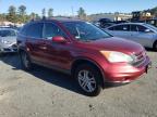 Lot #3025193205 2010 HONDA CR-V EXL