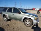 Lot #3024171928 2004 CHEVROLET TRAILBLAZE