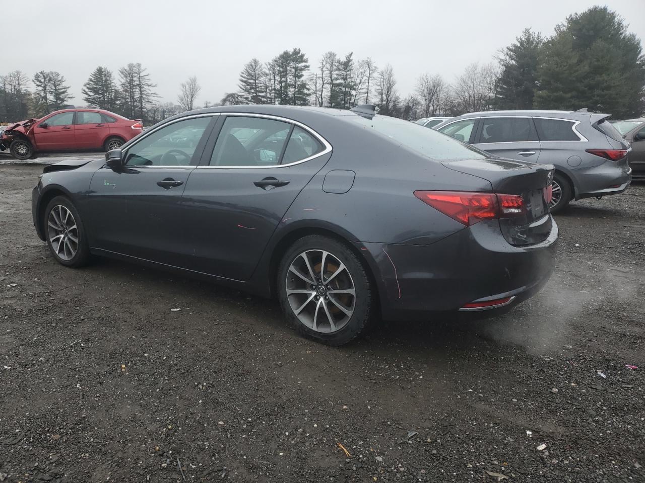 Lot #3027081784 2015 ACURA TLX TECH