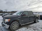 Lot #3024622618 2013 FORD F150 SUPER