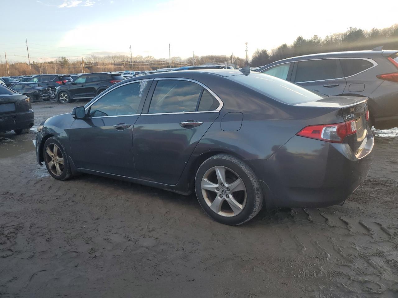 Lot #3044418772 2010 ACURA TSX