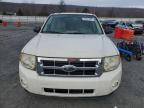 Lot #3023421289 2012 FORD ESCAPE XLT