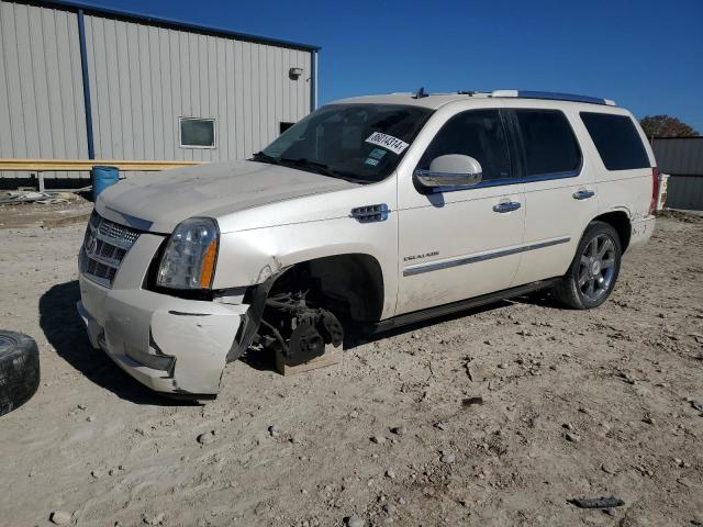 2014 CADILLAC ESCALADE P #3034567793