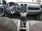 Lot #3033011002 2009 HONDA CR-V EXL