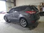 Lot #3024433635 2015 FORD ESCAPE TIT