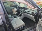 Lot #3024403554 2014 HONDA ACCORD EXL