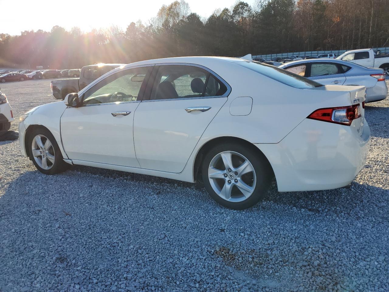 Lot #3025384724 2009 ACURA TSX