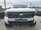 Lot #3025089190 2007 CHEVROLET SILVERADO