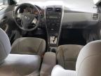 Lot #3040803803 2010 TOYOTA COROLLA BA