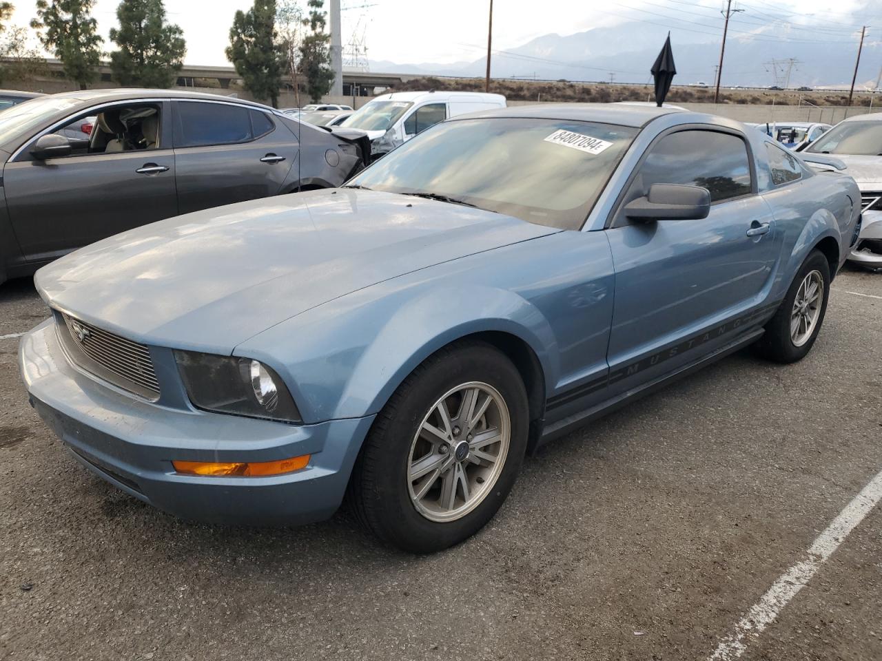 Lot #3033516091 2005 FORD MUSTANG