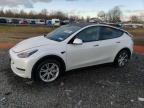 2023 TESLA MODEL Y - 7SAYGDEE5PF823323