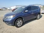 HONDA CR-V EXL photo