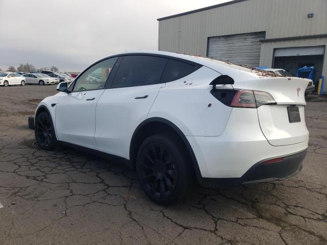 2024 TESLA MODEL Y - 7SAYGAEE7RF077443