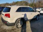 Lot #3025075193 2011 KIA SORENTO EX