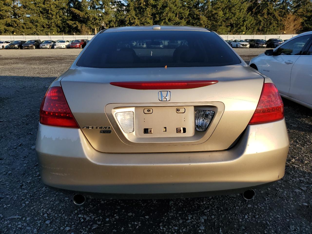 Lot #3033485107 2006 HONDA ACCORD EX