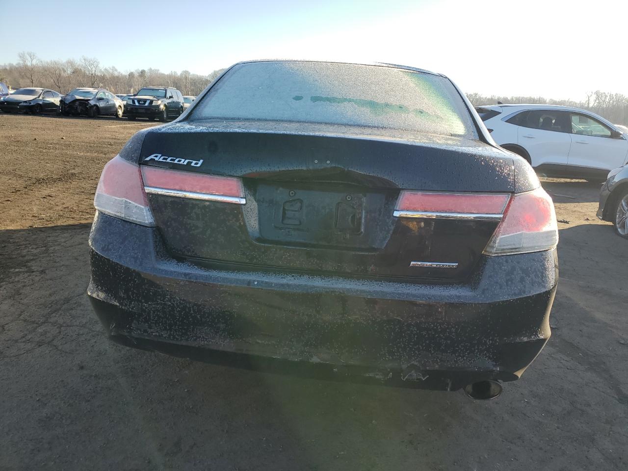 Lot #3036941779 2011 HONDA ACCORD SE