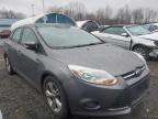 Lot #3033164200 2014 FORD FOCUS SE