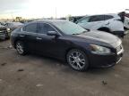 Lot #3028357799 2014 NISSAN MAXIMA S