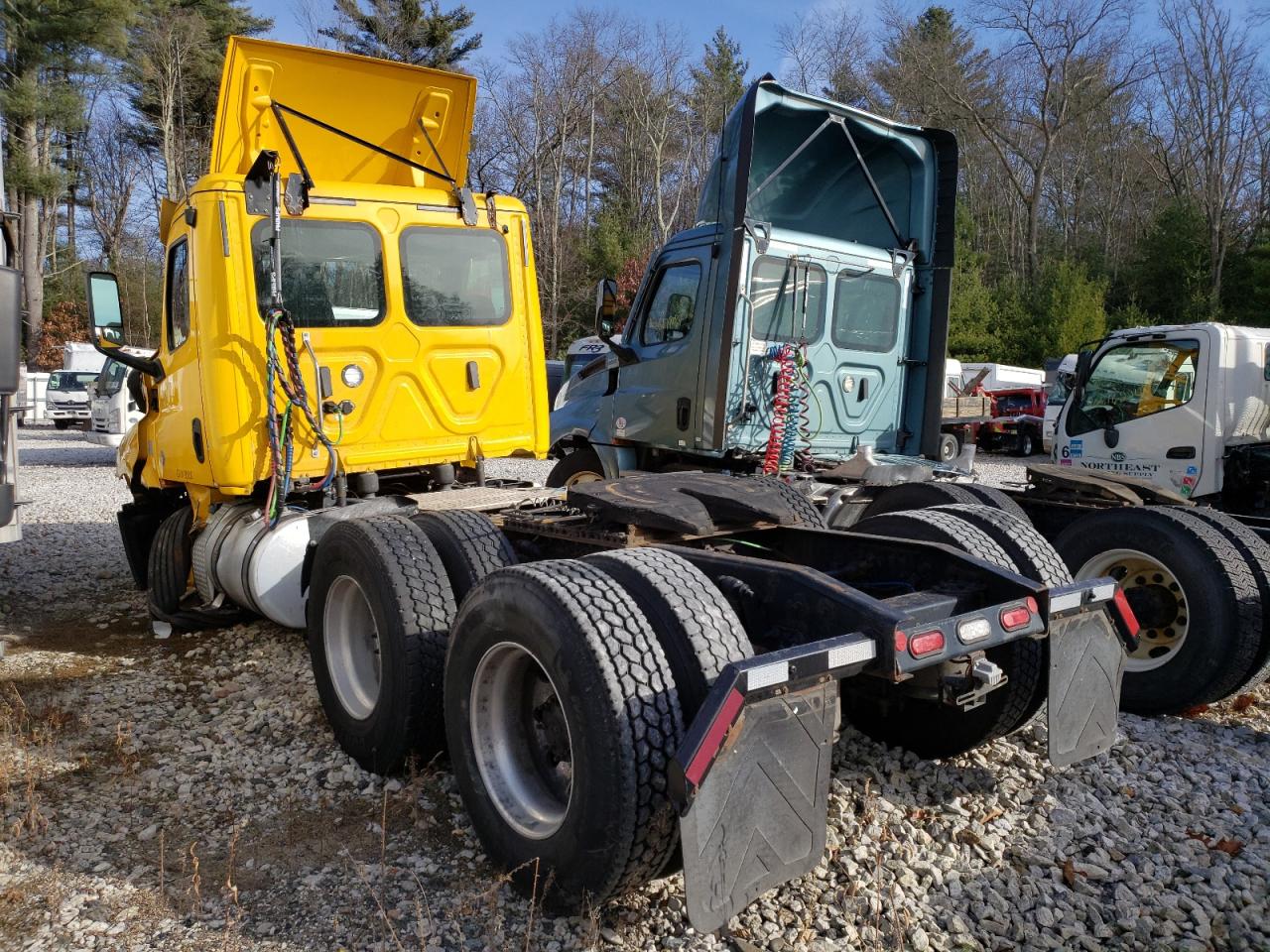 Lot #3024696693 2020 FREIGHTLINER CASCADIA 1