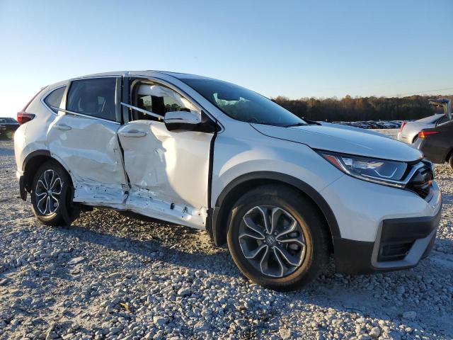 2022 HONDA CR-V EXL - 7FARW1H81NE024312