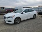 Lot #3030787464 2017 HYUNDAI SONATA SE