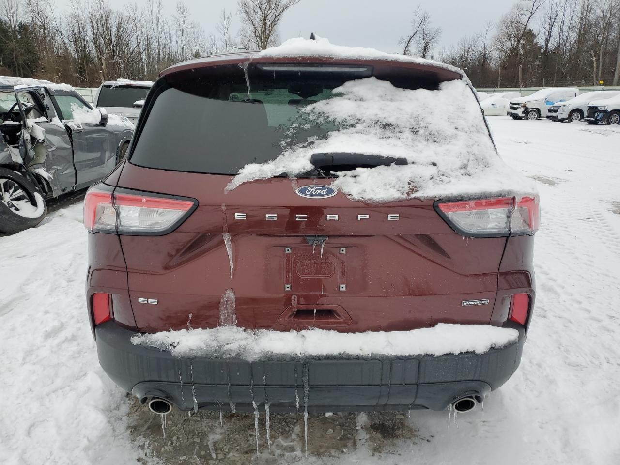 Lot #3034290136 2021 FORD ESCAPE SE