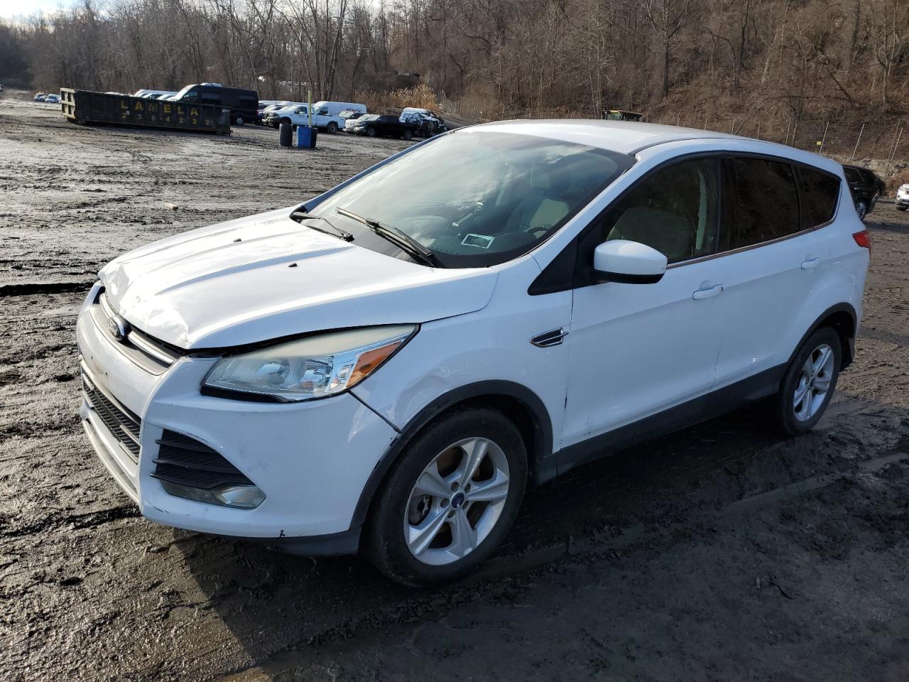 Lot #3044392796 2014 FORD ESCAPE SE