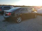 Lot #3023133179 2014 TOYOTA CAMRY L