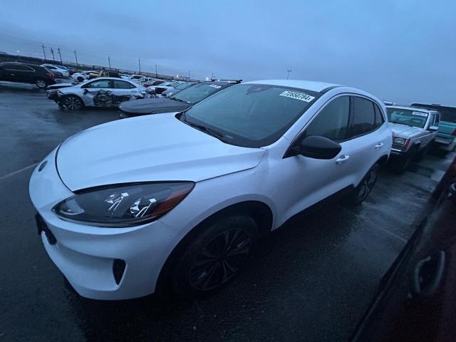 2022 FORD ESCAPE SE #3069640282