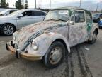 Lot #3027289320 1969 VOLKSWAGEN BEETLE