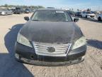 Lot #3024810392 2011 LEXUS ES 350