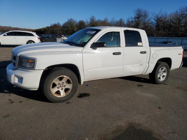 DODGE DAKOTA SLT 2011 white  gas 1D7RW3GK2BS585692 photo #1