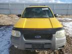 Lot #3025223594 2001 FORD ESCAPE XLT