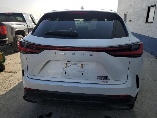 2023 LEXUS NX 250 JTJADCEZ7P2002342