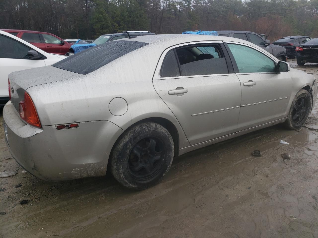 Lot #3033329808 2009 CHEVROLET MALIBU 1LT