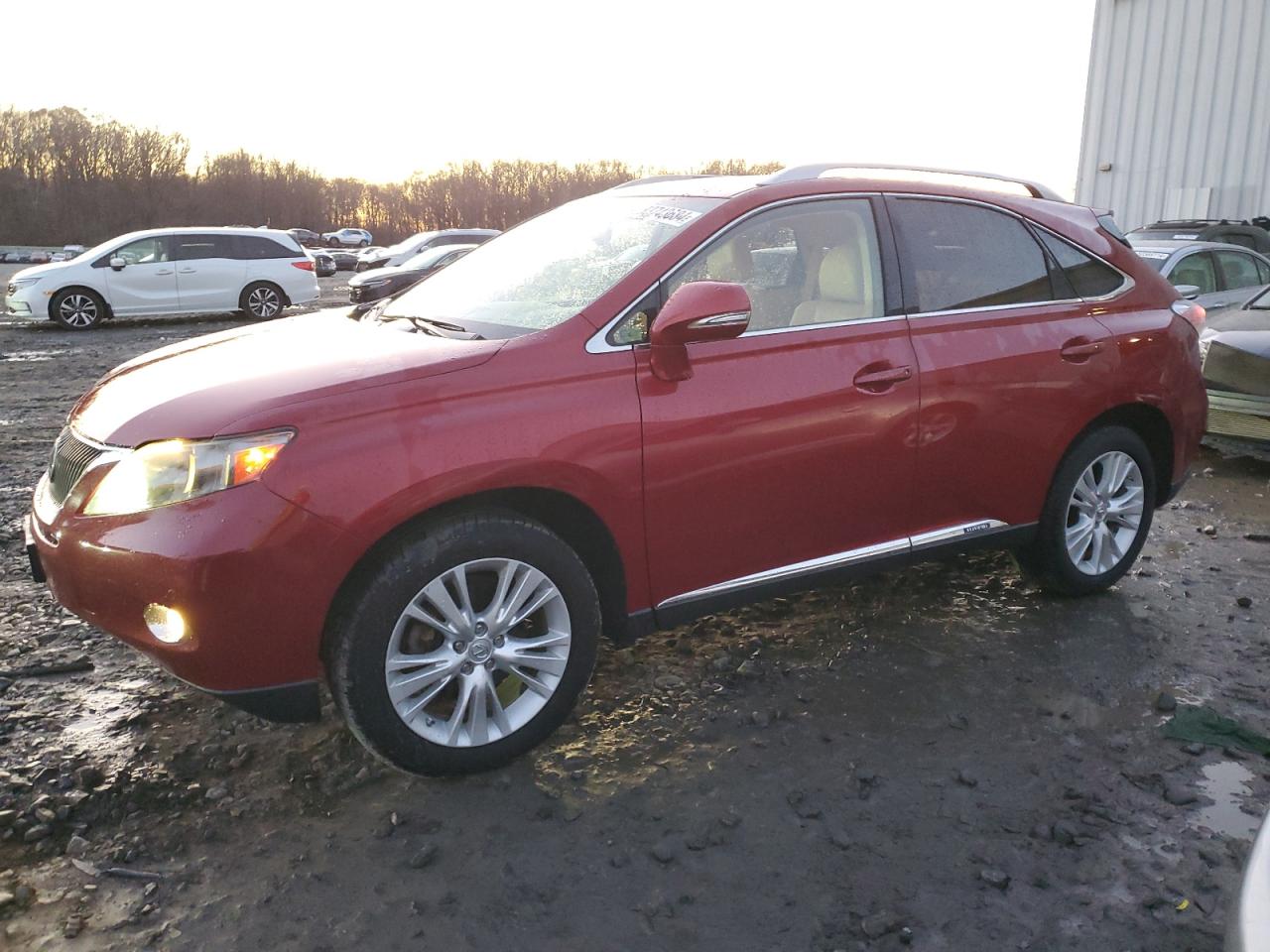 Lot #3024923365 2012 LEXUS RX 450H